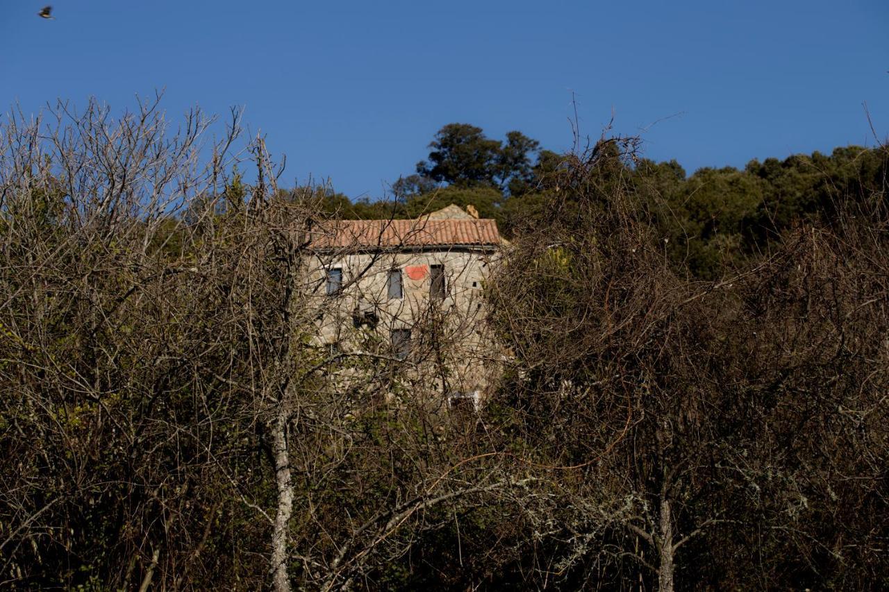 Casa Giacometti Grosseto-Prugna Exterior photo